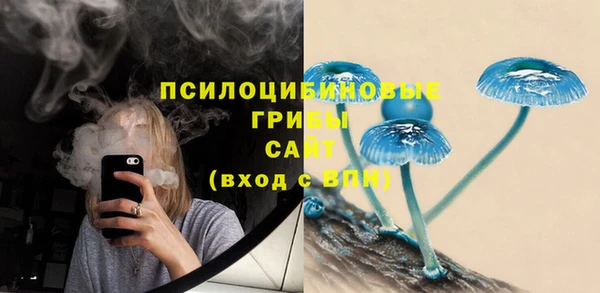 молекула духа Верея