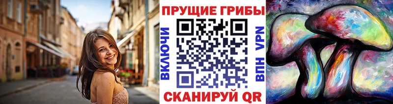 Псилоцибиновые грибы Psilocybe Купить закладки Ачхой-Мартан
